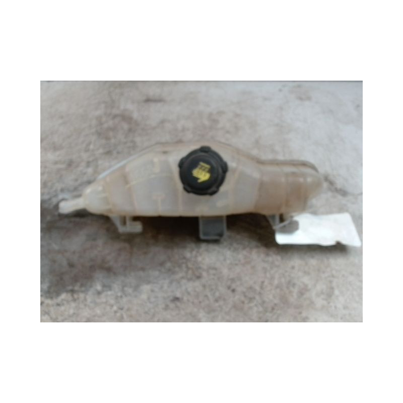 VASE EXPANSION RENAULT CLIO III 2010-