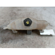 VASE EXPANSION RENAULT CLIO III 2010-
