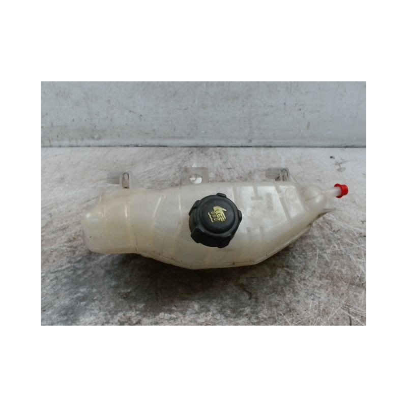 VASE EXPANSION RENAULT CLIO III 2010-