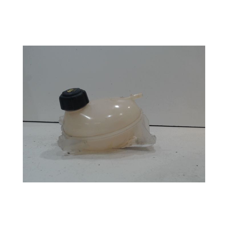 VASE EXPANSION RENAULT CLIO