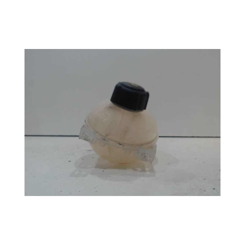 VASE EXPANSION RENAULT CLIO