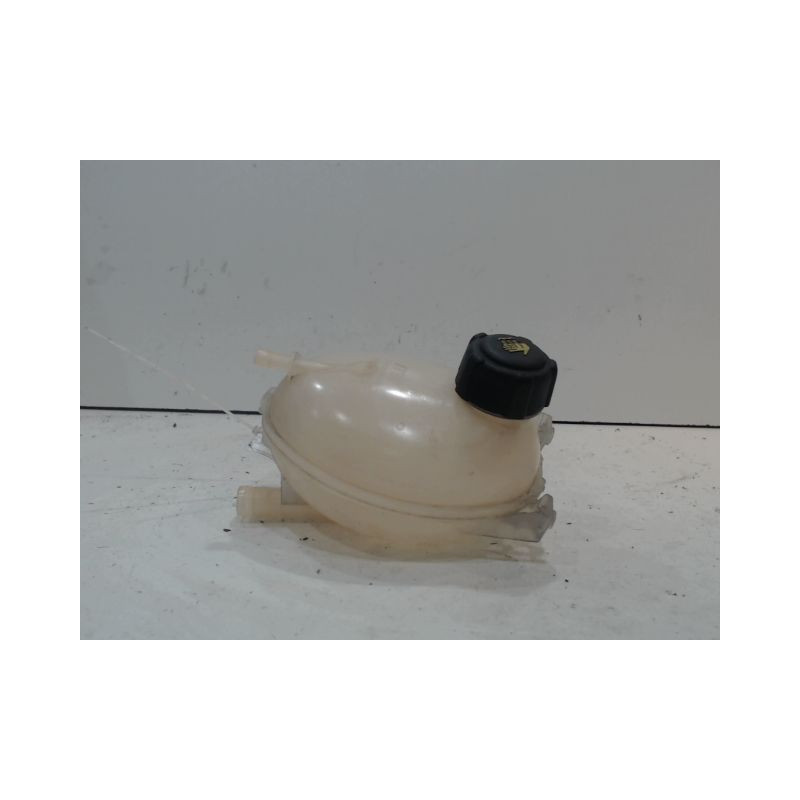 VASE EXPANSION RENAULT CLIO
