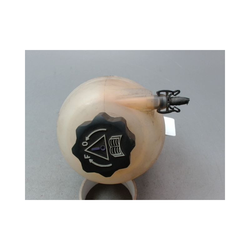 VASE EXPANSION PEUGEOT 206 1998-2009