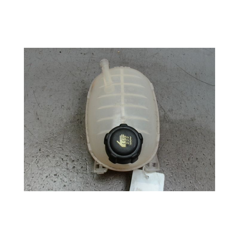 VASE EXPANSION RENAULT CAPTUR