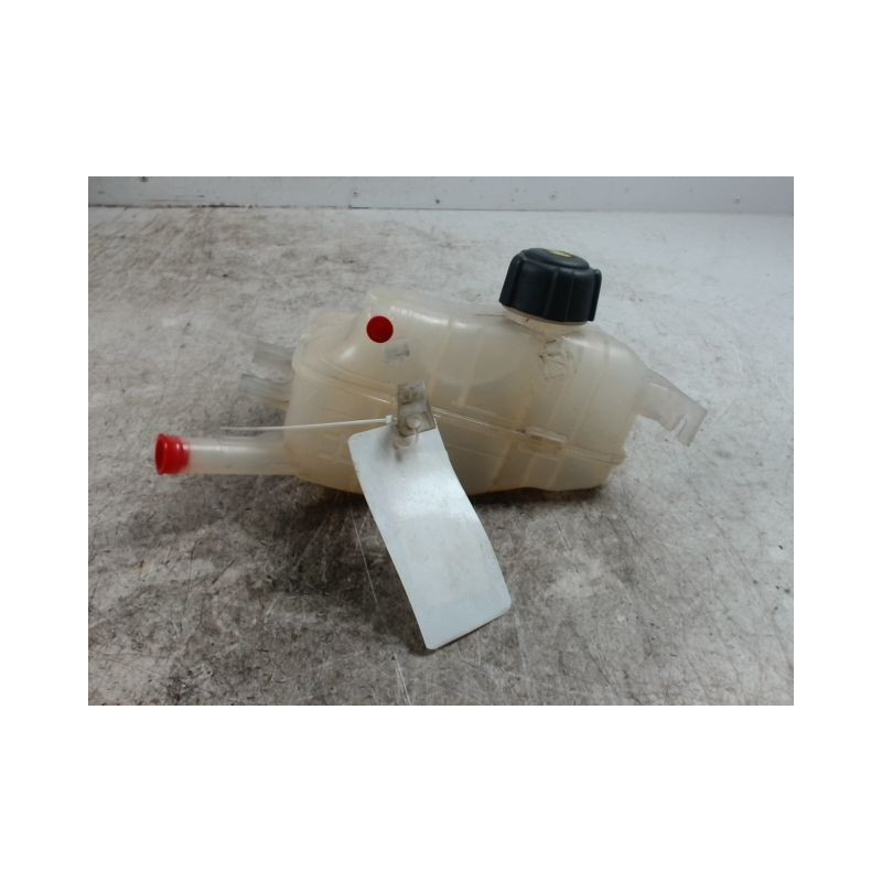VASE EXPANSION RENAULT MEGANE III 2008-