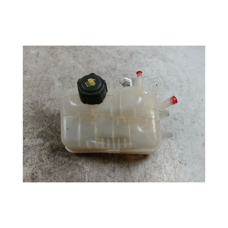 VASE EXPANSION RENAULT MEGANE III 2008-