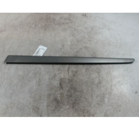 PROTECTION PORTE ARG
