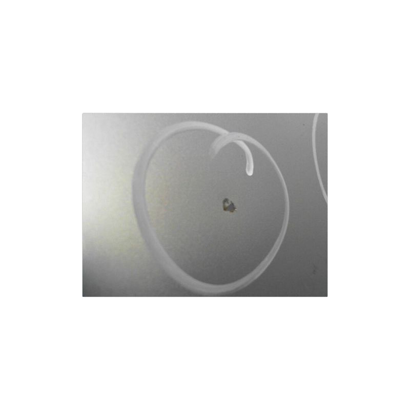 PORTE ARRIERE GAUCHE RENAULT ESPACE IV PH2 06-12