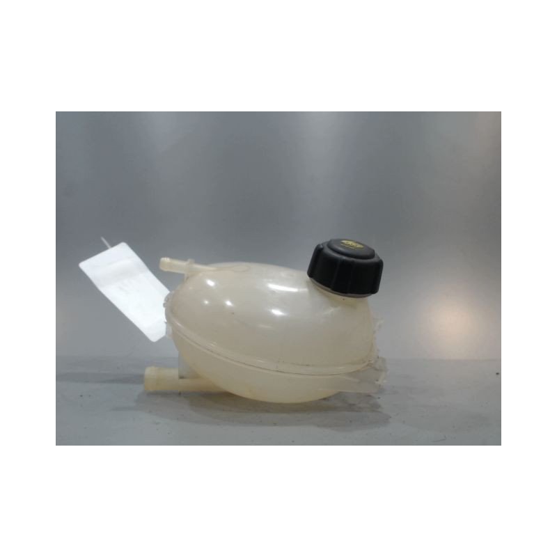 VASE EXPANSION RENAULT CLIO