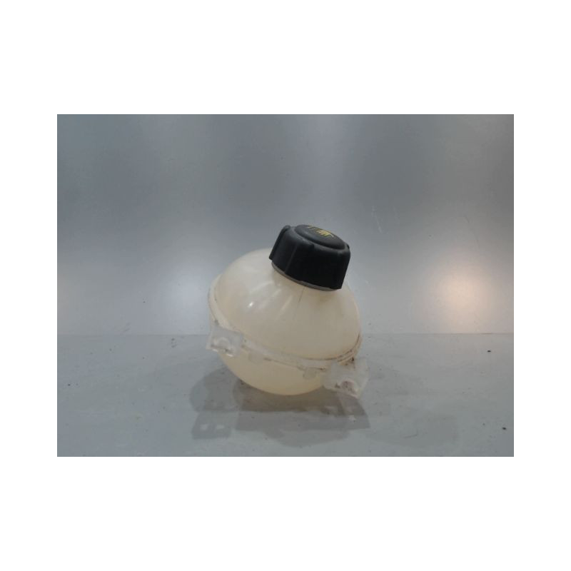VASE EXPANSION RENAULT CLIO