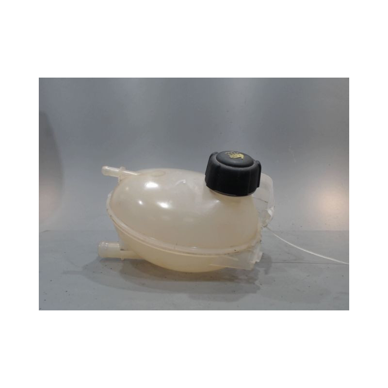 VASE EXPANSION RENAULT CLIO