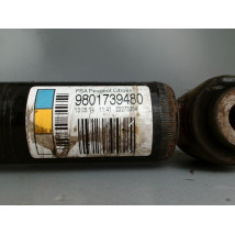 AMORTISSEUR ARRIERE DROIT CITROEN C3 2 PHASE 2 ESSENCE