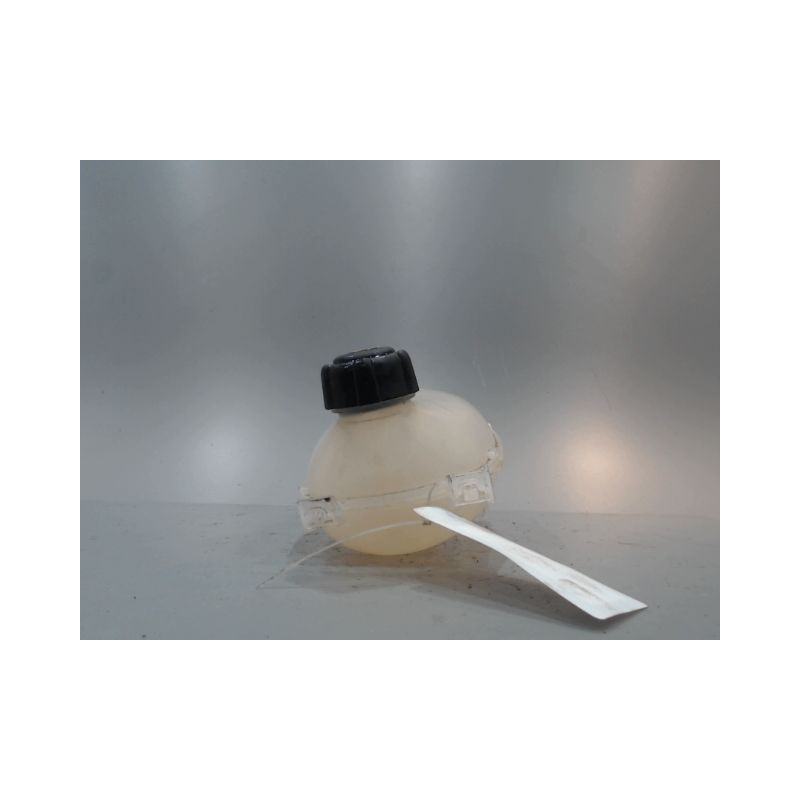 VASE EXPANSION RENAULT CLIO