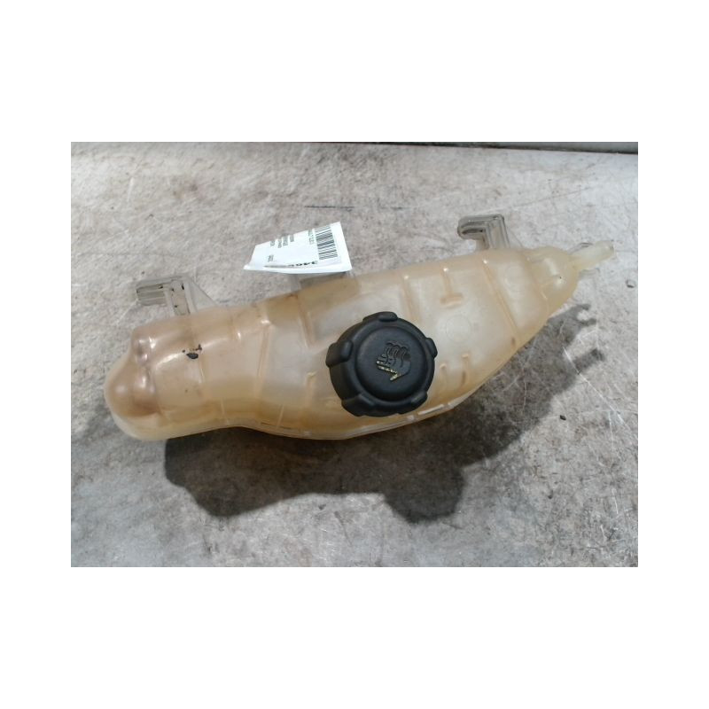 VASE EXPANSION RENAULT CLIO 3