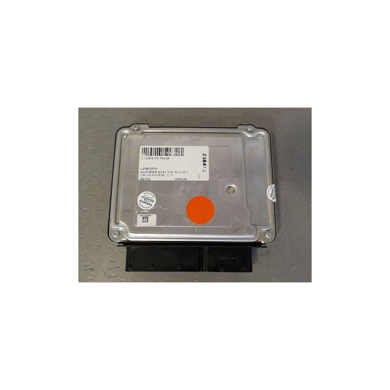 CALCULATEUR MOTEUR SKODA OCTAVIA
