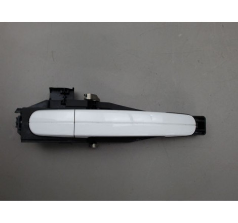 POIGNEE EXT PORTE ARD