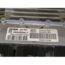 CALCULATEUR MOTEUR DANGEL PARTNER