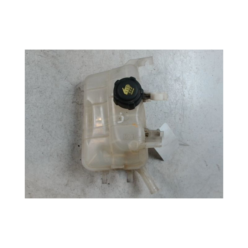 VASE EXPANSION RENAULT MEGANE
