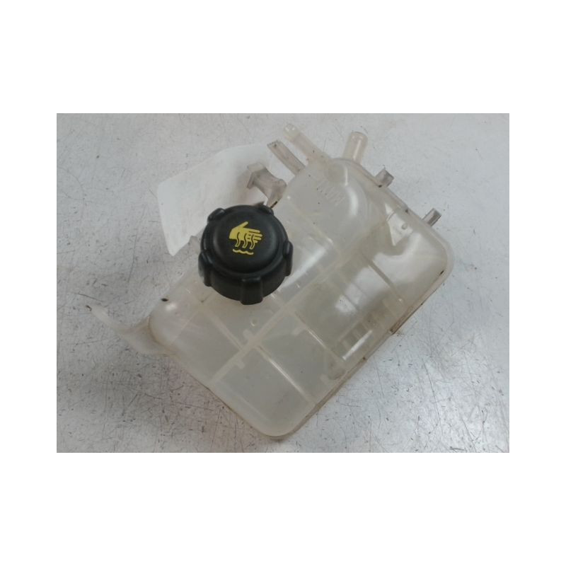 VASE EXPANSION RENAULT MEGANE 3