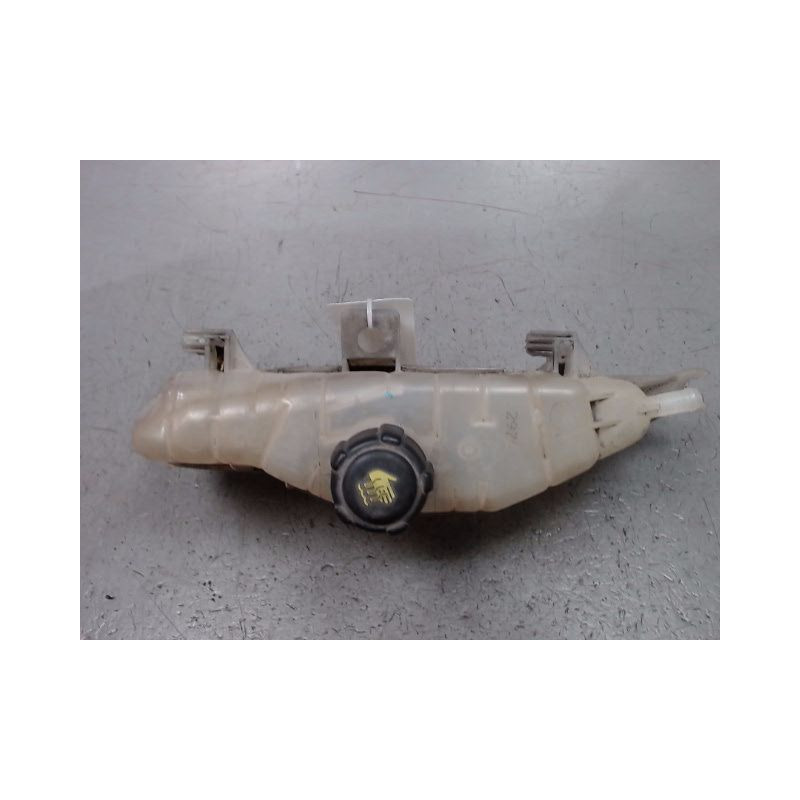VASE EXPANSION RENAULT CLIO III 2005-