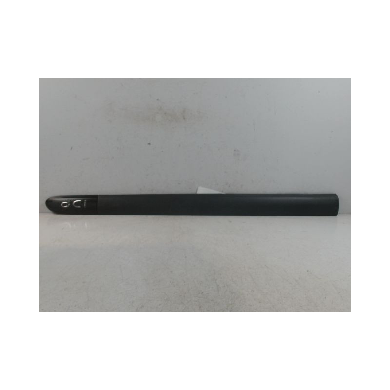 PROTECTION PORTE AVANT GAUCHE RENAULT CLIO II PH.2 01-06