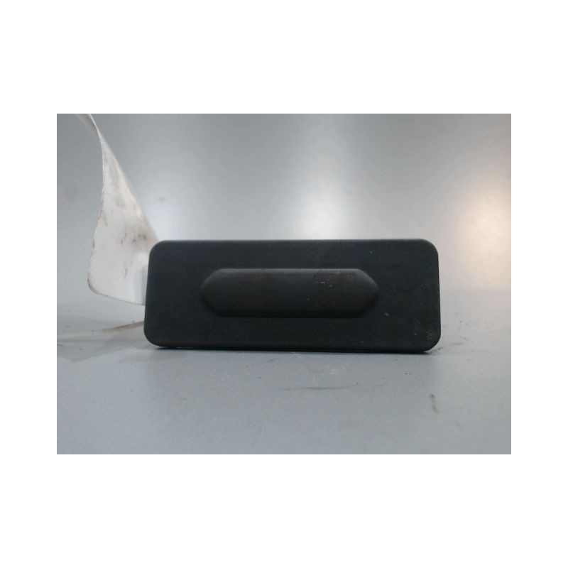POIGNEE EXTERIEURE HAYON RENAULT CLIO