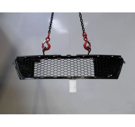 GRILLE PARE-CHOC AV