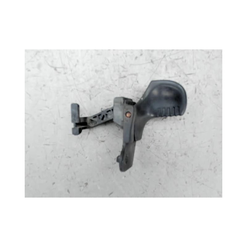POIGNEE EXTERIEURE PORTE AVANT DROIT RENAULT TWINGO