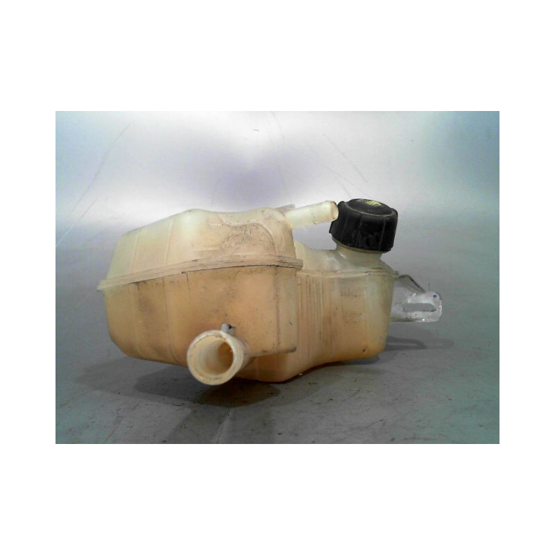 VASE EXPANSION RENAULT MEGANE