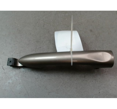 POIGNEE EXT PORTE ARD