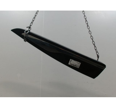 PROTECTION PORTE ARG