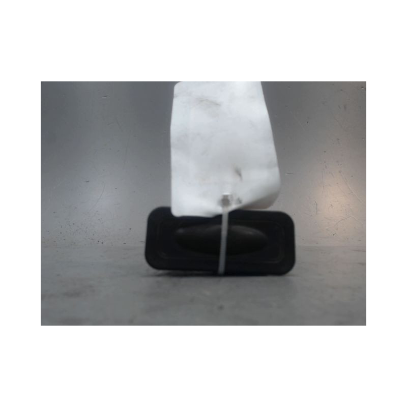 POIGNEE EXTERIEURE HAYON RENAULT MEGANE