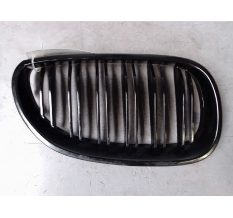 GRILLE CALANDRE D