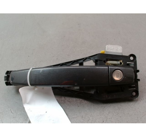 POIGNEE EXT PORTE AVG