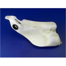 RESERVOIR LAVE-GLACE AVANT RENAULT SCENIC III PH.2 11-13