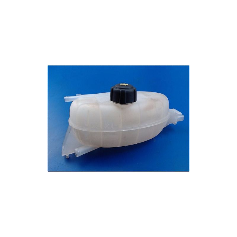 VASE EXPANSION RENAULT TRAFIC II PASSENGER LONG 8.06-15