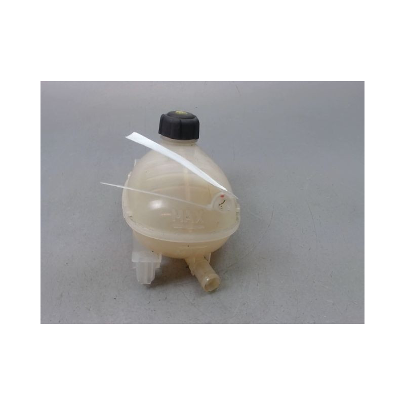 VASE EXPANSION RENAULT CLIO