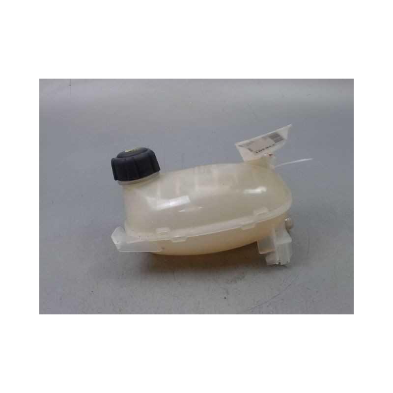 VASE EXPANSION RENAULT CLIO