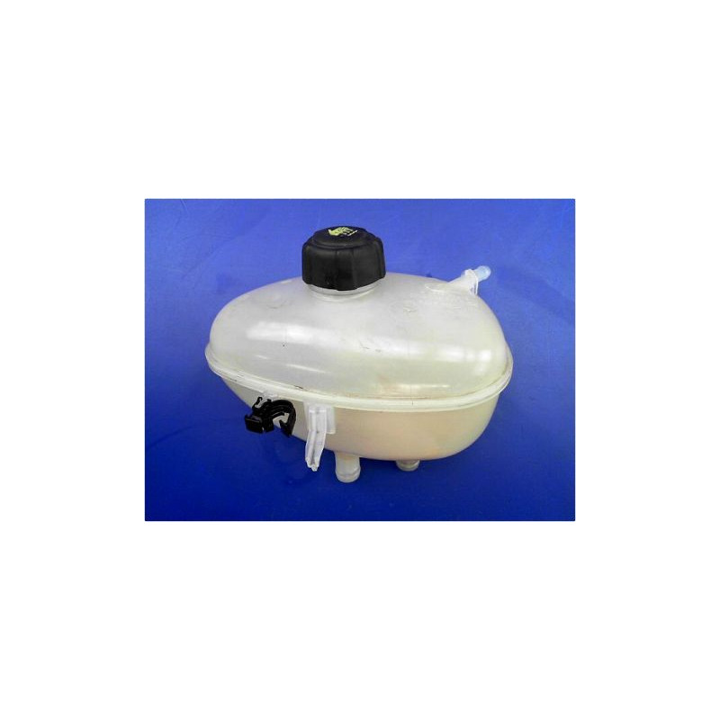 VASE EXPANSION RENAULT TWINGO III 14-20
