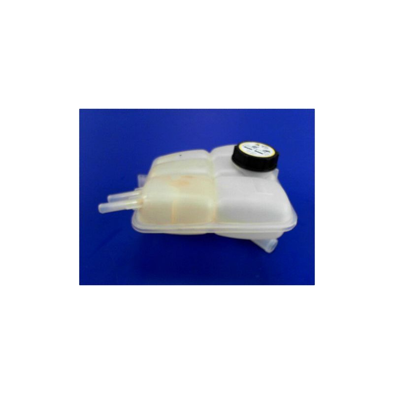 VASE EXPANSION RENAULT CLIO II CAMPUS 06-09