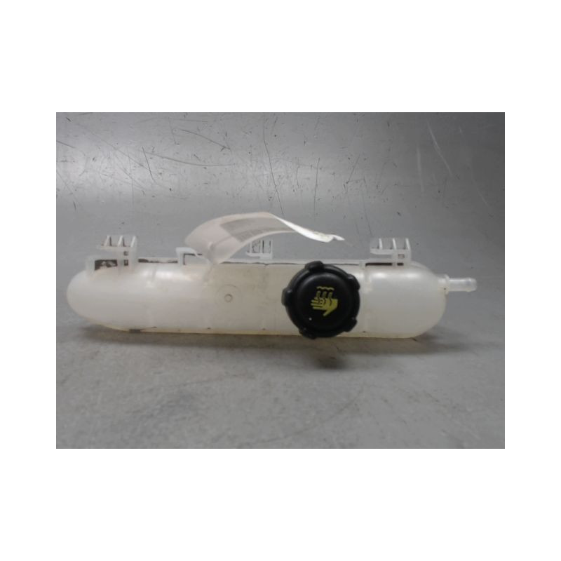 VASE EXPANSION RENAULT ZOE