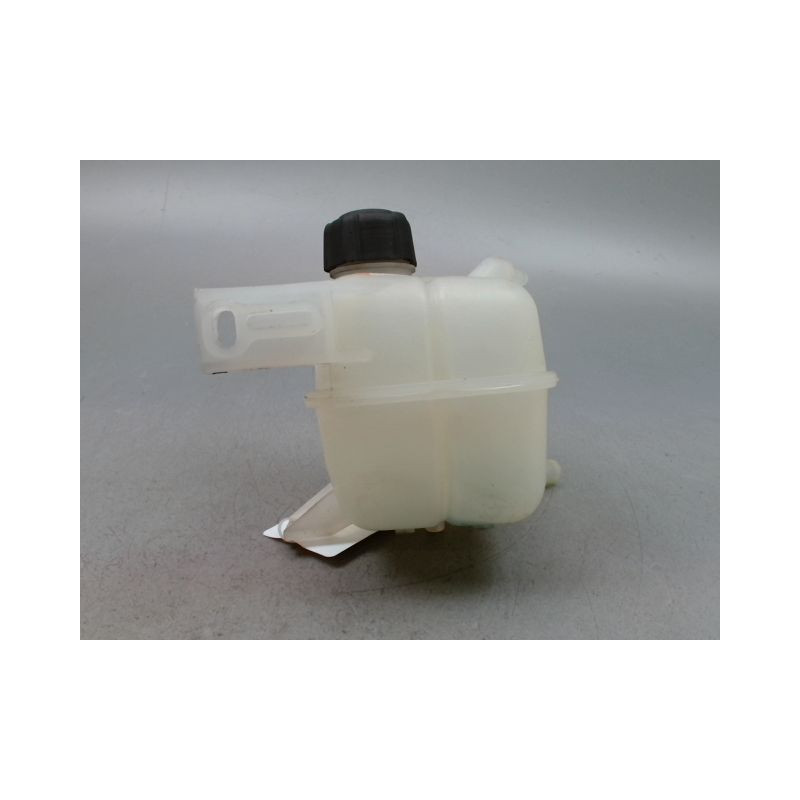VASE EXPANSION RENAULT KOLEOS BREAK 2008-...