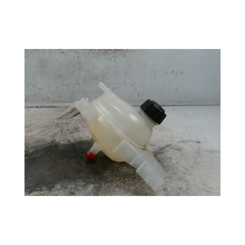VASE EXPANSION RENAULT TWINGO
