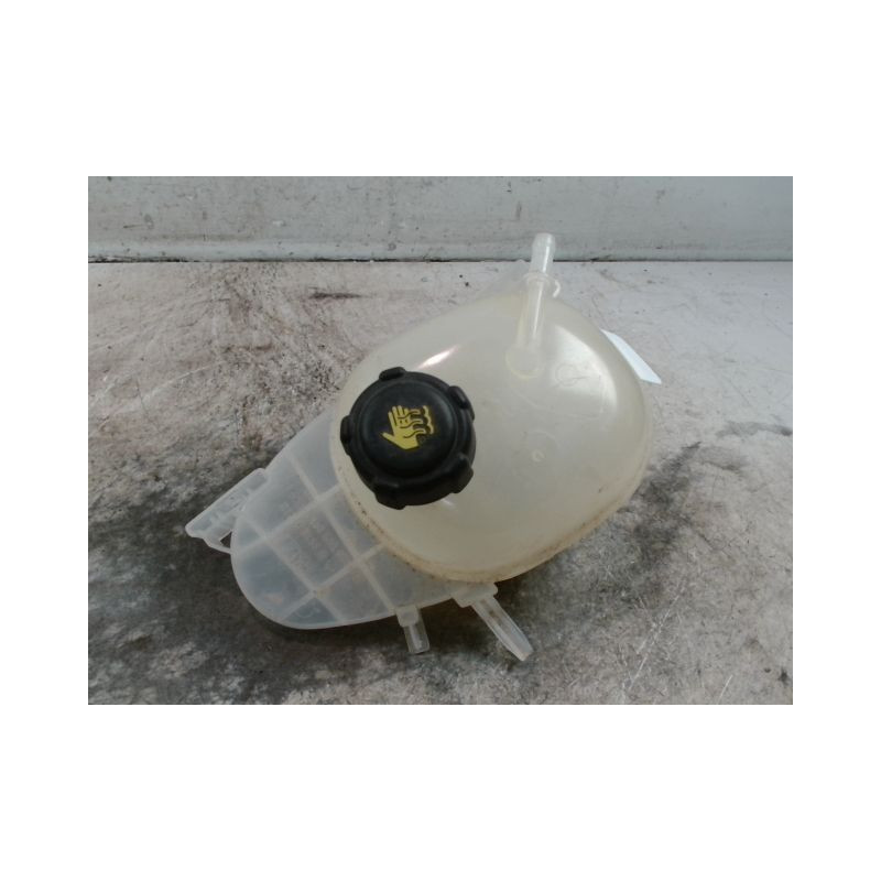 VASE EXPANSION RENAULT TWINGO