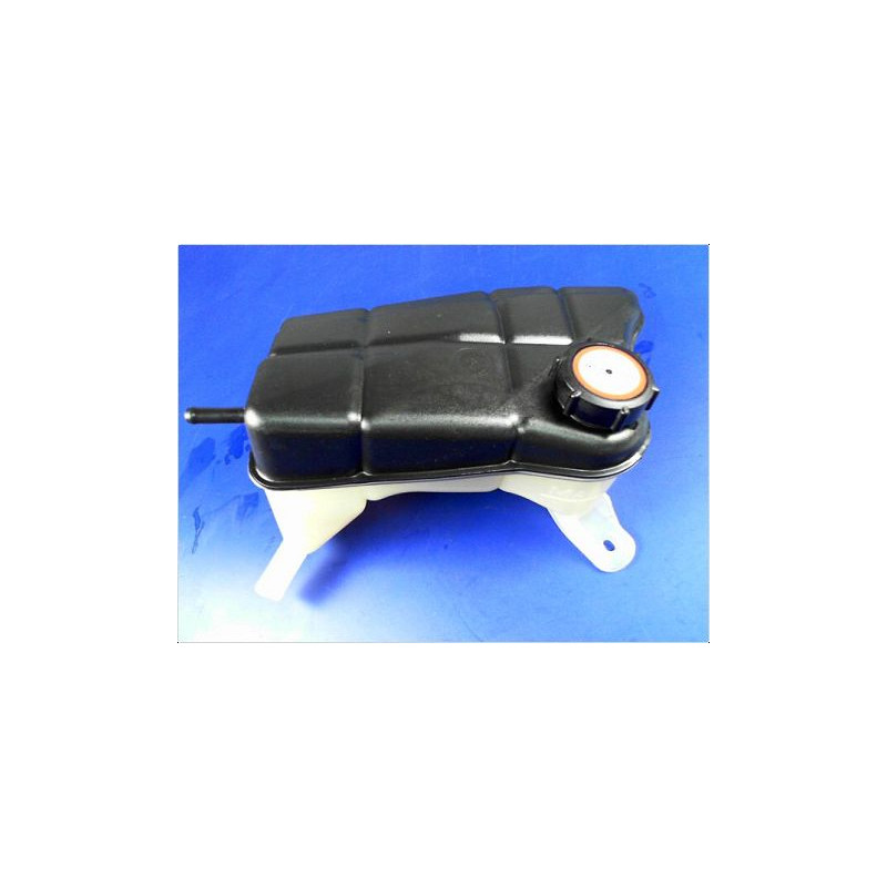 VASE EXPANSION RENAULT CLIO III PH.1 05-09