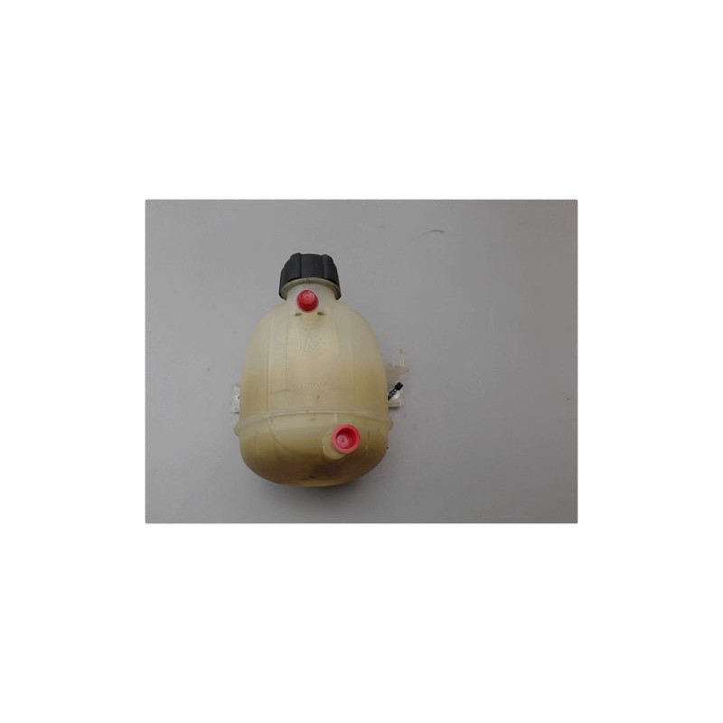 VASE EXPANSION RENAULT CLIO