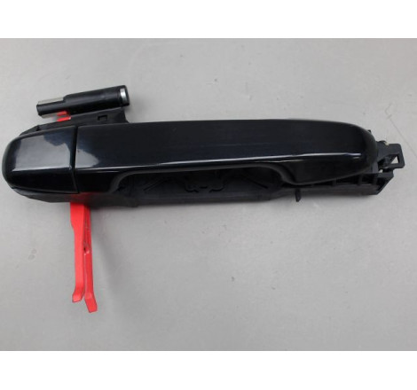 POIGNEE EXT PORTE ARD