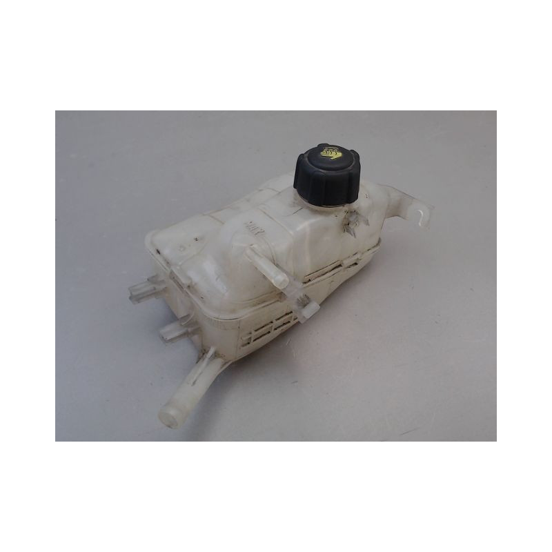 VASE EXPANSION RENAULT MEGANE