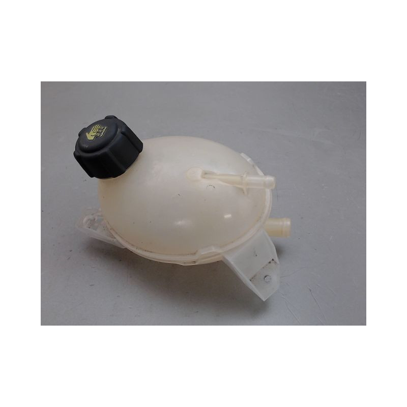 VASE EXPANSION RENAULT CLIO