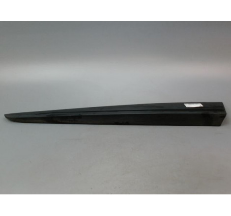 PROTECTION PORTE AVG